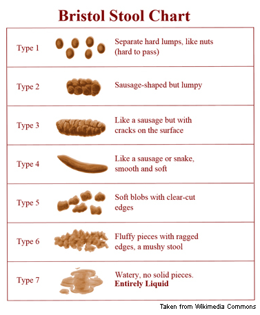 Photograph of Bristol Stool Chart 