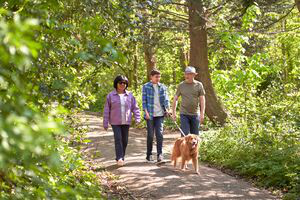 Photo-of-people-walking-in-the-park-test-2.png